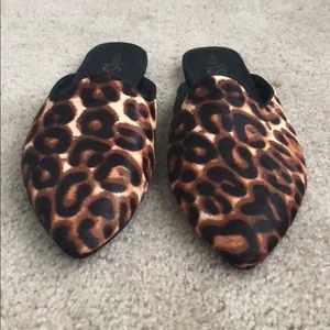 Yosi Samra Vidi Leopard Slides